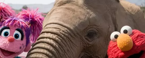 Elmo and Friends Embark on an African Safari in 'Sesame Street and the Great Elephant Adventure'