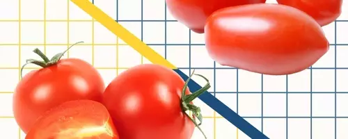 Understanding the Differences Between Cherry and Grape Tomatoes