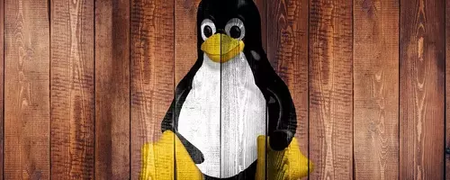 Linux Evades Age Verification Mandate in California, SteamOS Status Uncertain