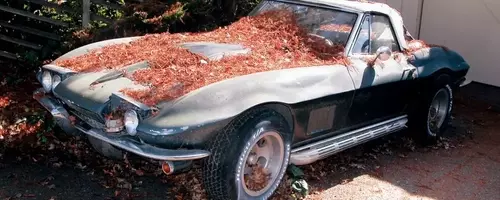 The Enduring Spirit of Forgotten Classic Cars