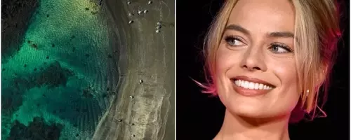 Margot Robbie Lends Voice to 'Galapagos: The Last Eden' Immersive Experience, Premiering at Venice Film Festival