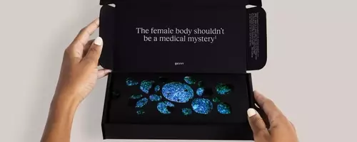 The Resurgence of Vaginal Health: Innovation, Investment, and the Pursuit of Equitable Care