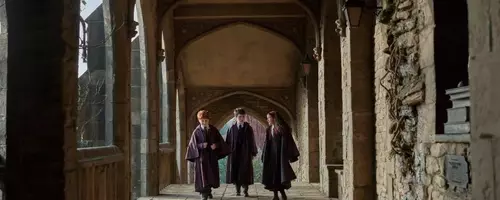 HBO's "Harry Potter" Series Reveals New Cast for Season 2, Including Dobby and Tom Riddle