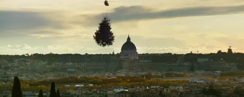 A Soothing Yet Subdued Documentary on the Enigmatic World of Trees