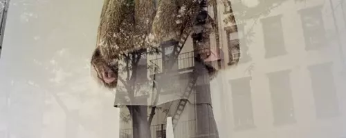 CDLM: A Rebellious Approach to Modern Fashion