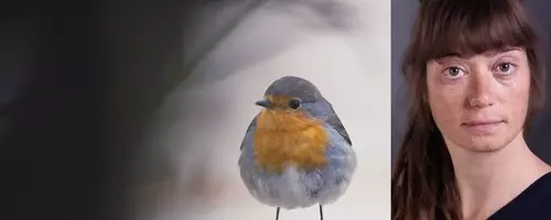 A Documentary on Nature's Resilience in the Face of Industry