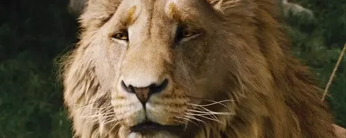 Greta Gerwig's Narnia Film Reveals First Look, Meryl Streep Cast as Aslan