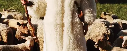 Unraveling the Ethical Threads of Wool in Fashion: A Documentary Insight