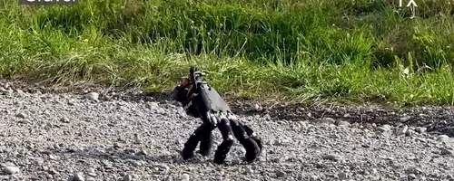 Autonomous Robotic Hand Mimics 'Thing' from Addams Family