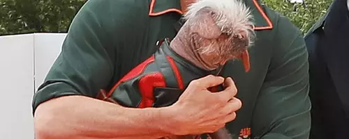Ryan Reynolds's Exquisite Watch Collection
